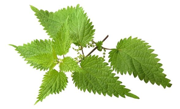 Prostovit will take nettle extract