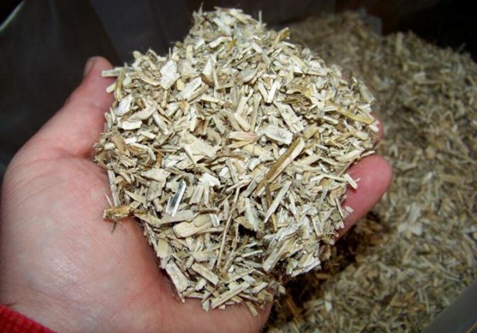 Aspen bark for the preparation of a medicinal tincture for prostatitis in men