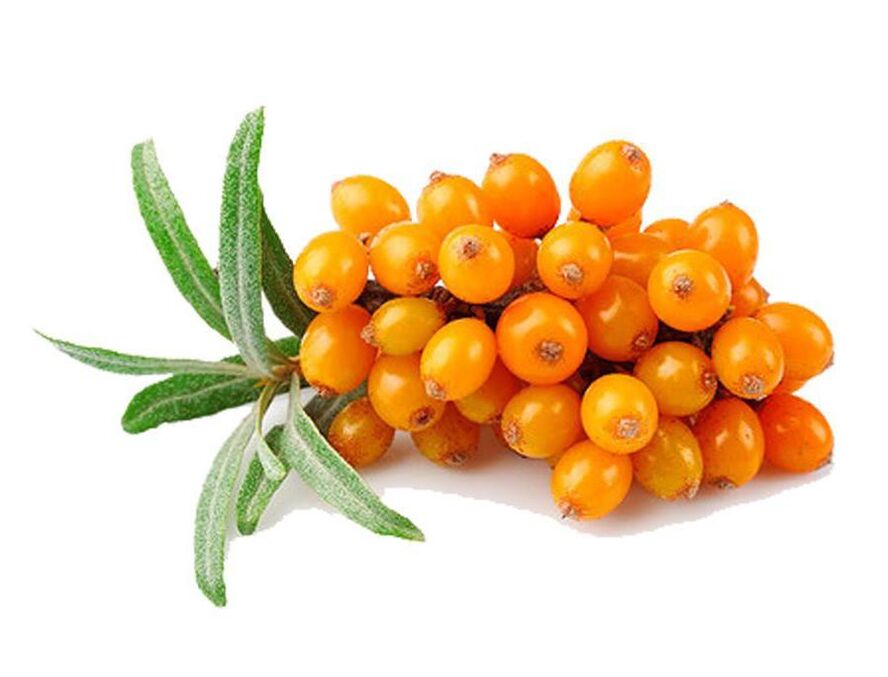 Buckthorn, which normalizes the functioning of the prostate gland during prostatitis